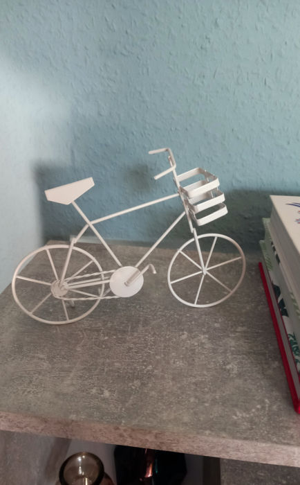 Mein kleines weißes Fahrrad