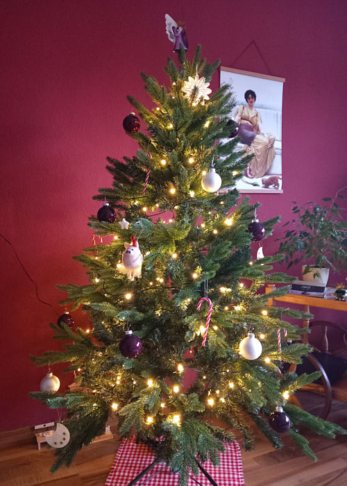 Weihnachtsbaum 2024